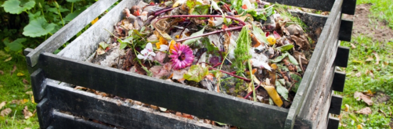 Kompostimisel on lubatud järgmised materjalid: 
 
 Lehtede ja muru lõiked 
 Aia- ja aedjäätmed (nt marjad, köögiviljad, taimed) 
 Päevavalgust armastavad pu