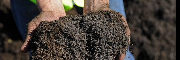 Turba muld ehk turvasegu on üks levinumaid muldade liike aianduses. Turvasegu valmistatakse turbasegust, mis on segatud liivaga. Turvasegu kasutamine võimaldab 