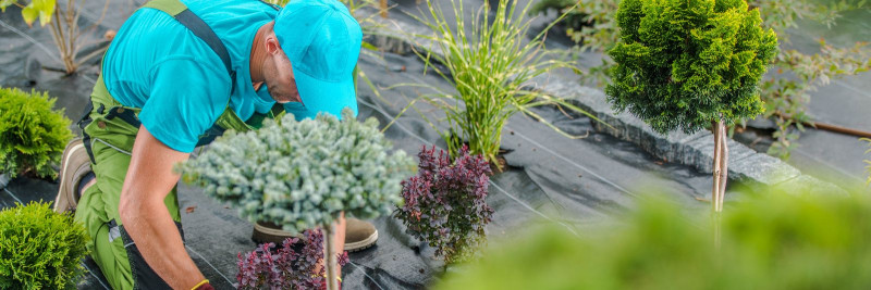 Millised tegurid mõjutavad haljastusteenuste kvaliteeti?