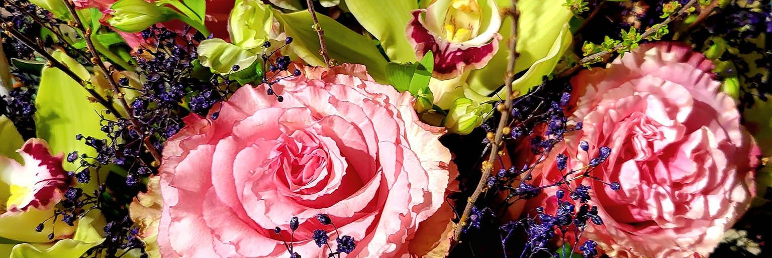 Otsid ilusaid lilli, erilisi lillekimbud või professionaalseid ...