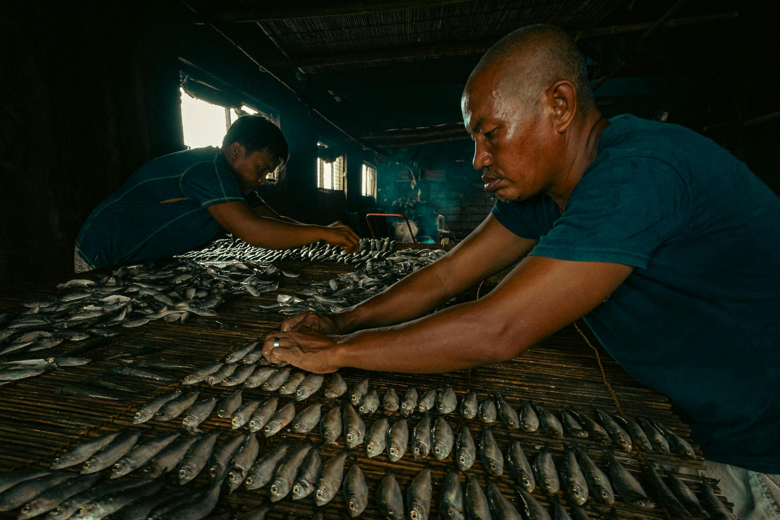 Fishery processing  is an important step that makes raw materials a convenient, high quality and ready solution for the market. Carefully prepared fish helps to