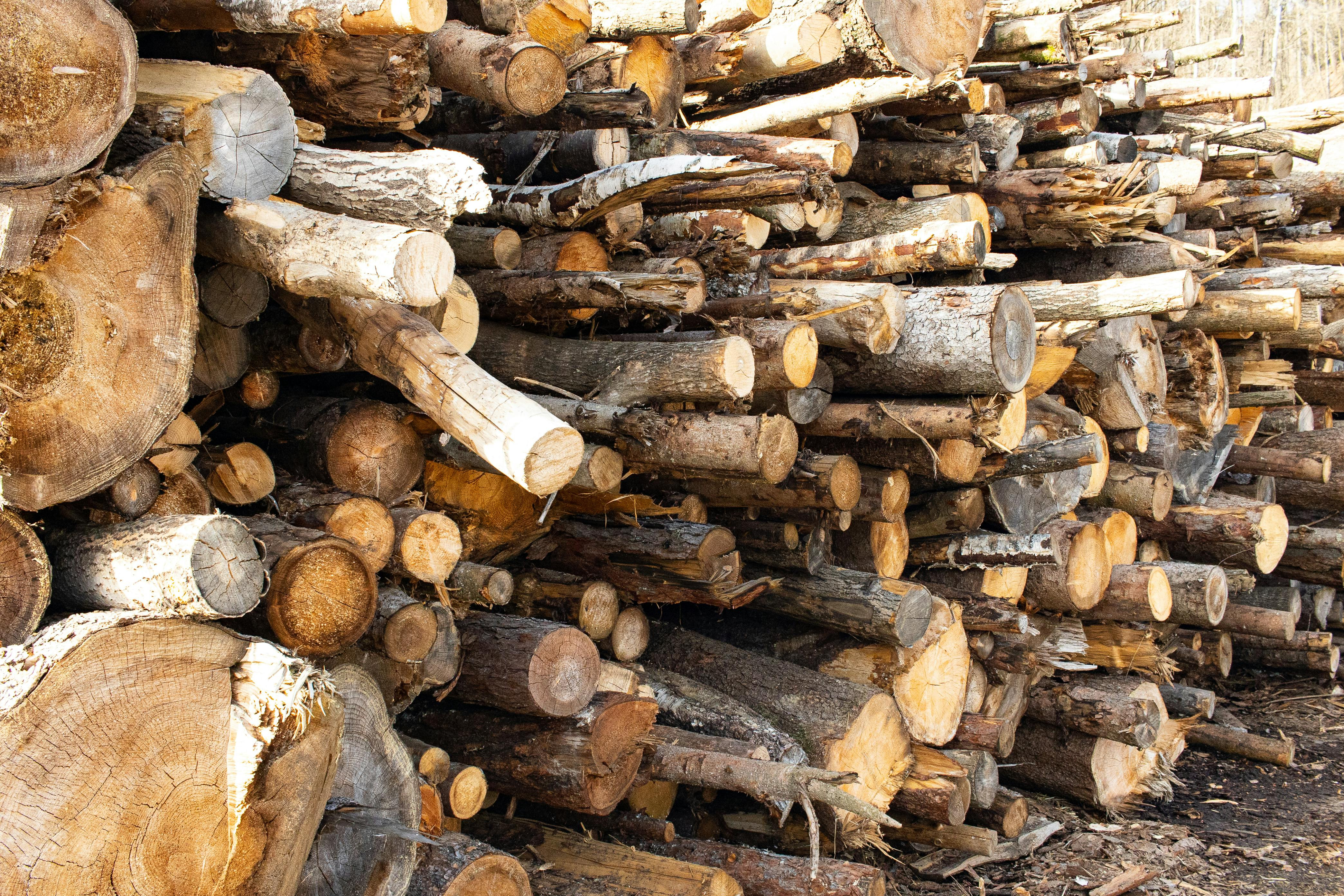 Puidu müük Valga–Tõrva piirkonnas ühendab raiutud metsamaterjali ...