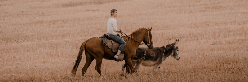 Ratsutamine - kogemus, mis ühendab meid hobuste maailmaga