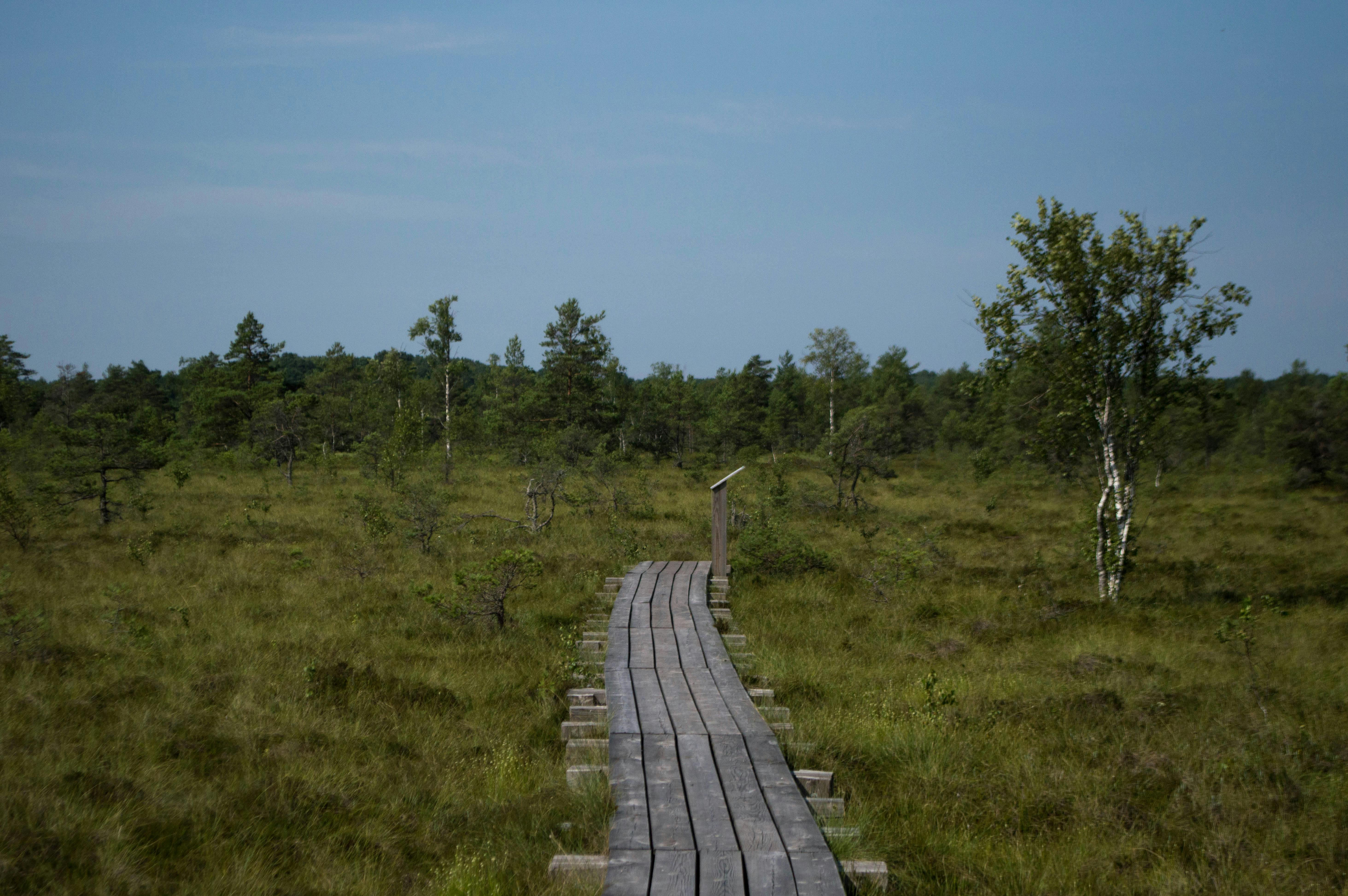 The experiences of Saaremaa   combine comfortable stops, fine activities and island peace into one of the holistic holiday experiences. If you are looking for a
