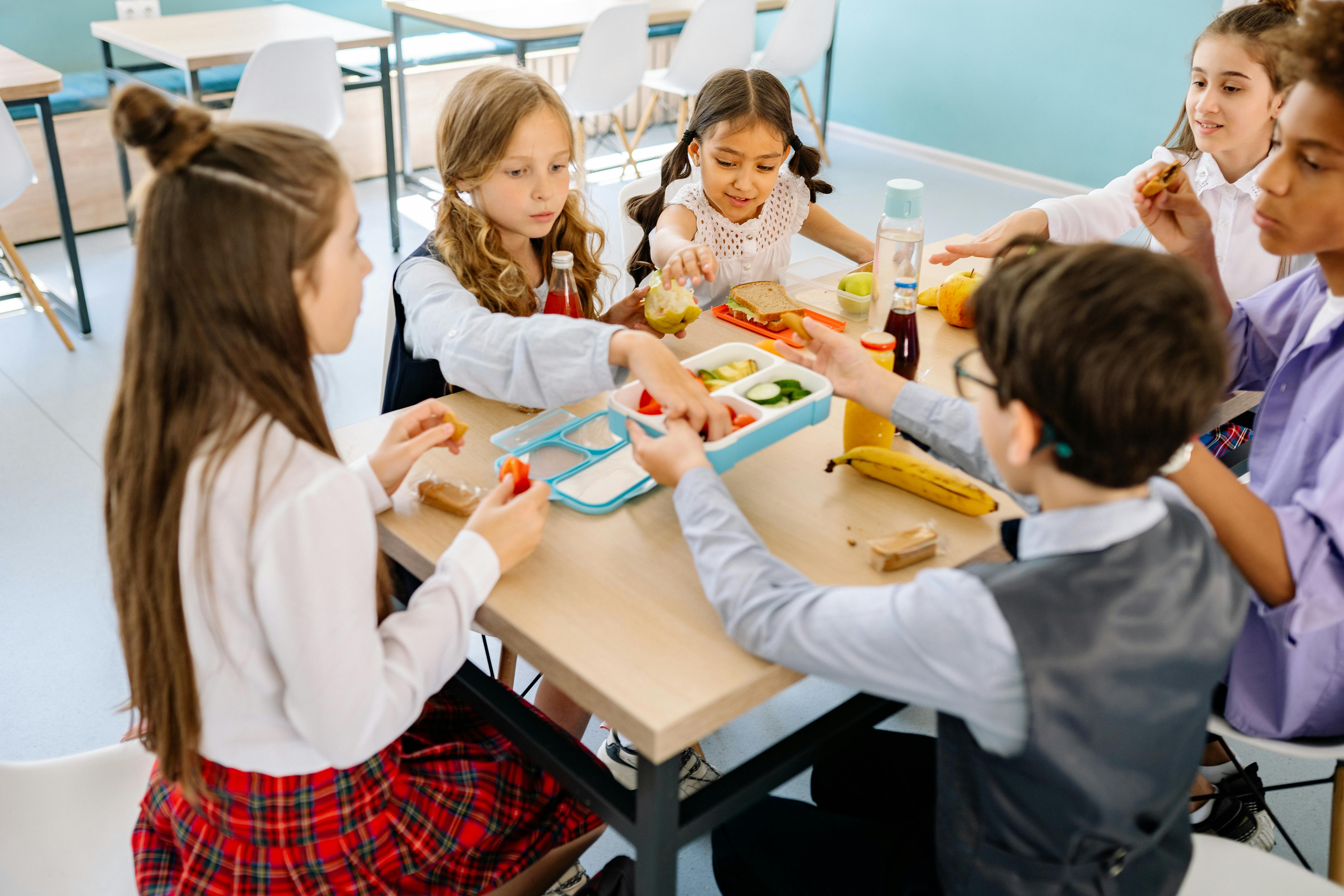The best school catering for the entire school family     School catering   provides daily, age-based and nutrition-friendly school lunches that support student