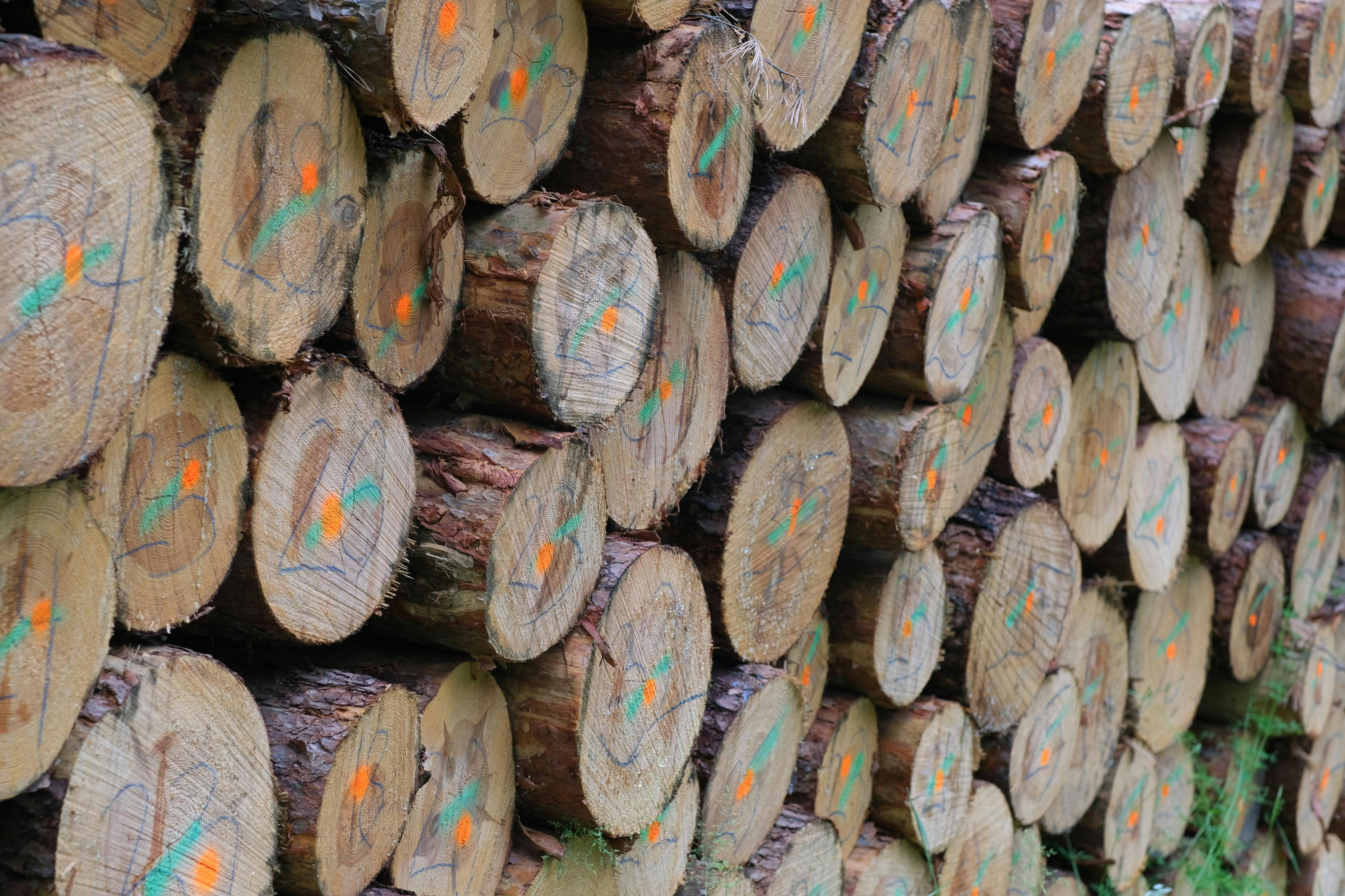 The well-prepared logging is safer, smoother and more efficient. ...