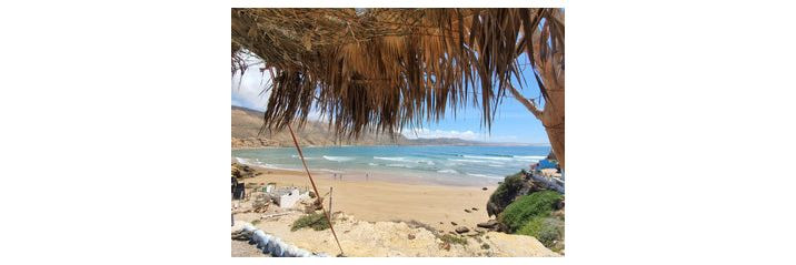 Surf Camp / Surf House offers an exhilarating and unforgettable opportunity for all surf enthusiasts, regardless of whether you are just starting out as a begin