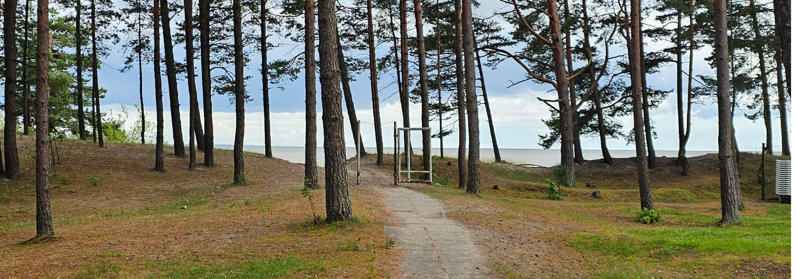 Jaanid möödusid suhteliselt rahulikult. Sisulooja töö ei lõpe kunagi otsa ja tuleb tõdeda, et ka seekord ei olnud pühad pelgalt vaid puhkus.     Suuresti tänu o