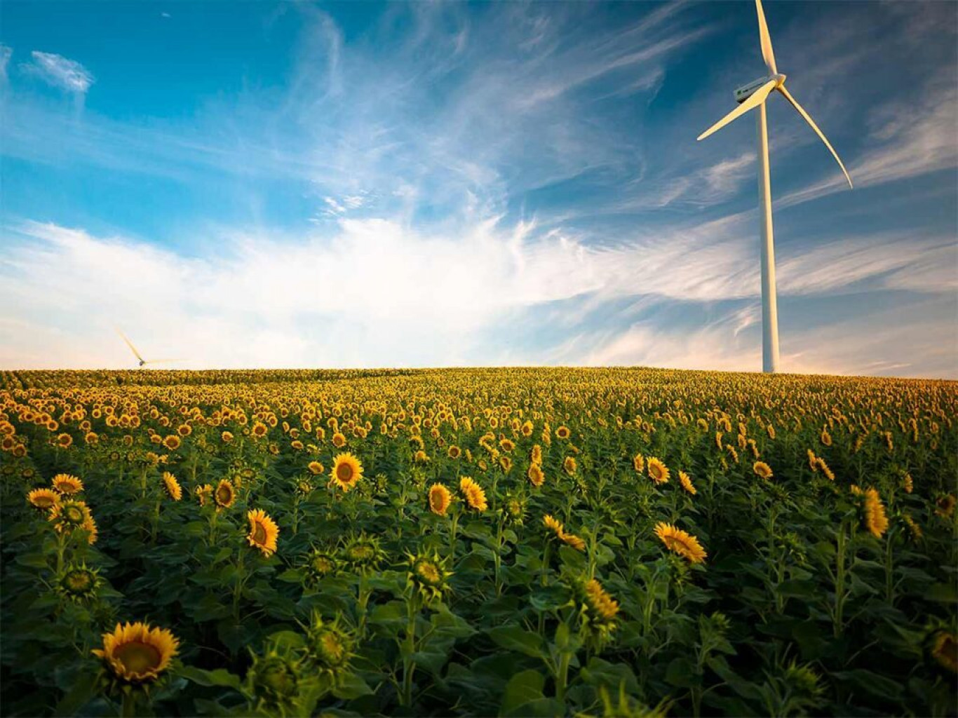 Tuuleenergia on töökindel ja roheline viis, kuidas kasvavat energiavajadust rahuldada. Mida tuulepargiks vaja on? Ühe tuulepargi püstitamiseks on vajalik leida