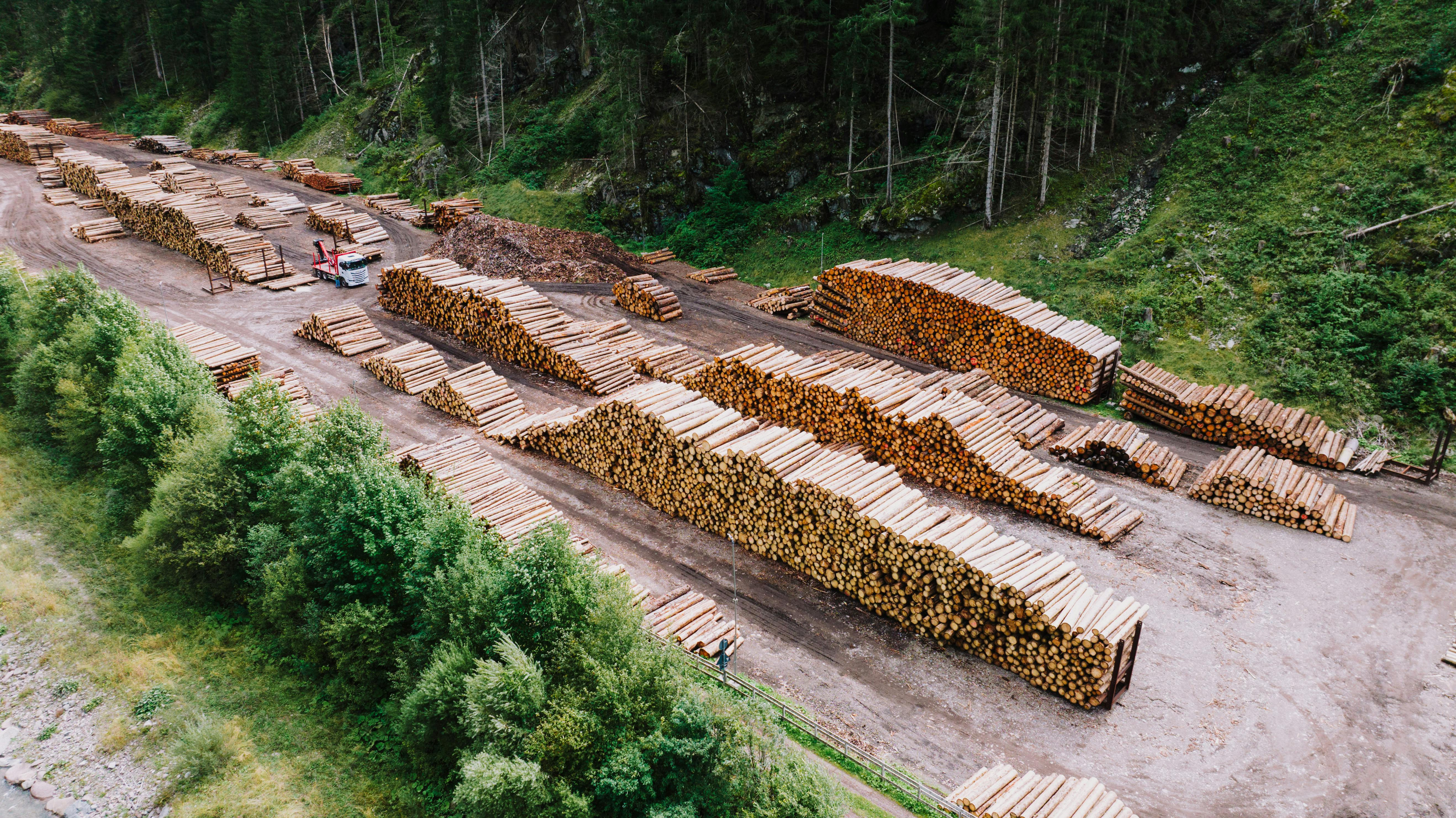 Local comprehensive solution for forestry in Valga-Tõrva region ...