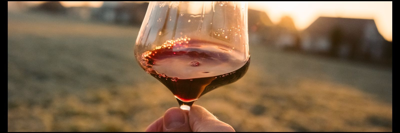 Vein on olnud kultuuriline ja ajalooline joogitüüp juba tuhandeid aastaid ning sellel on olnud oluline roll paljudes kultuurides üle maailma. Veinikultuur on ri