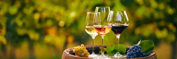 Vein on üks vanimaid jooke maailmas, mille valmistamiseks kasutatakse erinevaid viinamarjasorte ja tehnikaid. Veinivalik on aga nii lai, et õige veini valimine