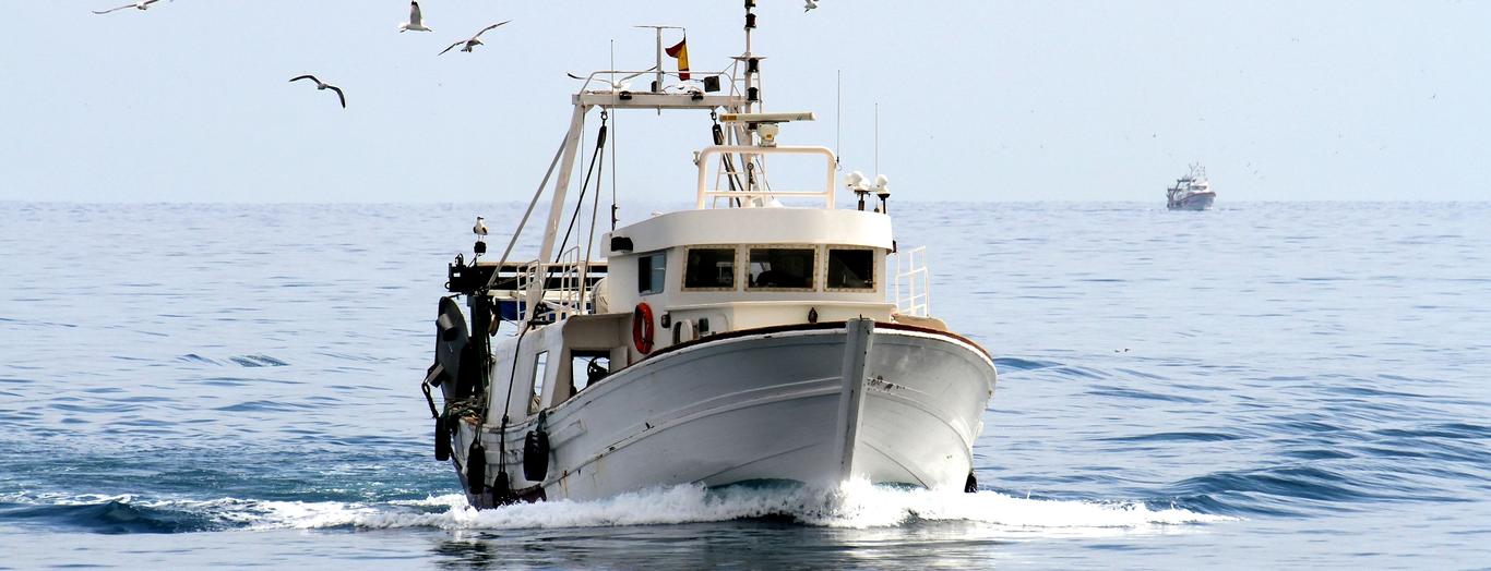 Dmitri Matvejevi juhitav  DGM SHIPPING AS on 1996. aastast tegutsev kalapüügifirma, mille toodangut võib kaubamärgi Briis all leida kõikidelt meie suurematelt