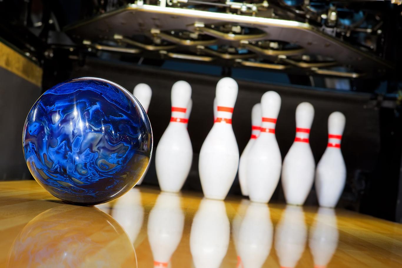 DANIMOR OÜ sai asutatud 2002. aastal ning sest ajast saati on firma hallanud Zelluloosi bowlingut, kuid tänaseks on keegliga kehvad lood, sest firma suhtes on k