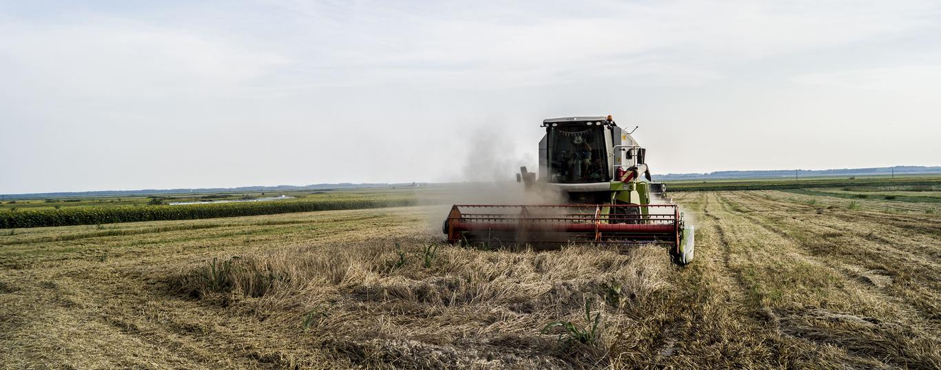 PÕLLUMEESTE ÜHISTU KEVILI TÜH on põllumajandusühistu, mille liikmed on teravilja- ja rapsikasvatajad üle Eesti. Eelemise aasta lõpus on äri kohe eriti hästi l