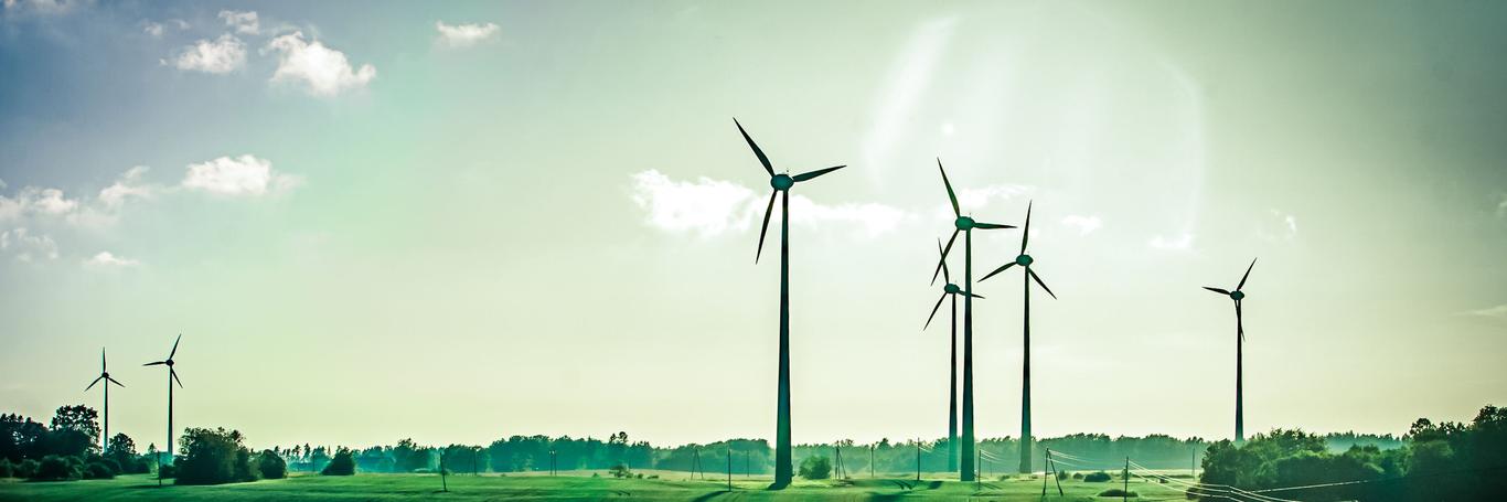 Alates 2. jaanuarist asus EESTI ENERGIA AS-i taastuvenergia ettevõtte ENEFIT GREEN AS-i arendusjuhi ja neljanda juhatuse liikmena ametisse Linas Sabaliauskas, k