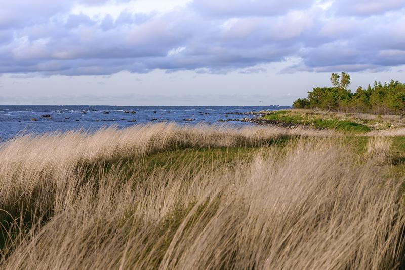 KMG INSENERIEHITUSE AS likvideerib nõuka-aegset reostust Saaremaal
