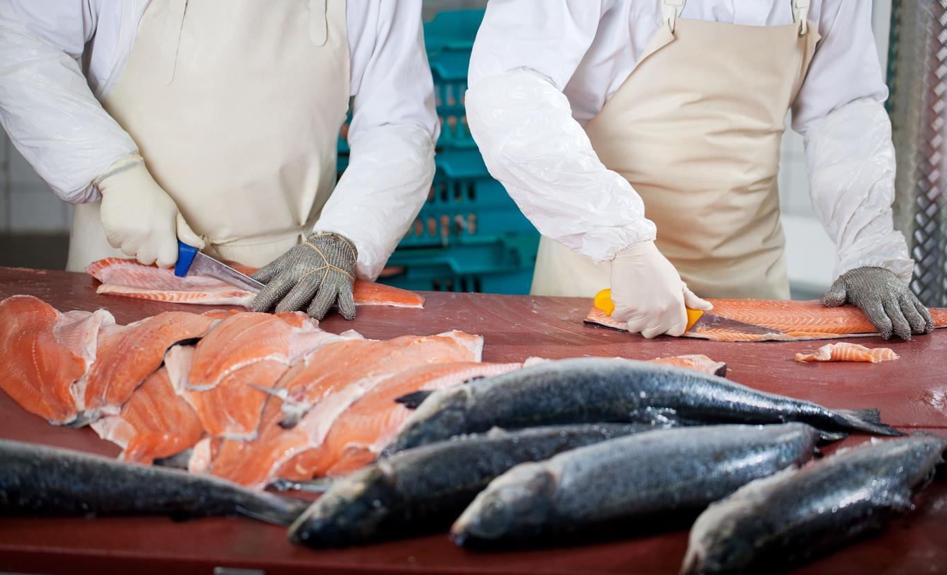Kala kasvatuse ja töötlemisega tegelenud ettevõtte pankrot kuulutati välja 29. jaanuaril 2018. Sellest on väga kahju, sest teatavasti hakkab vikerforell just ja