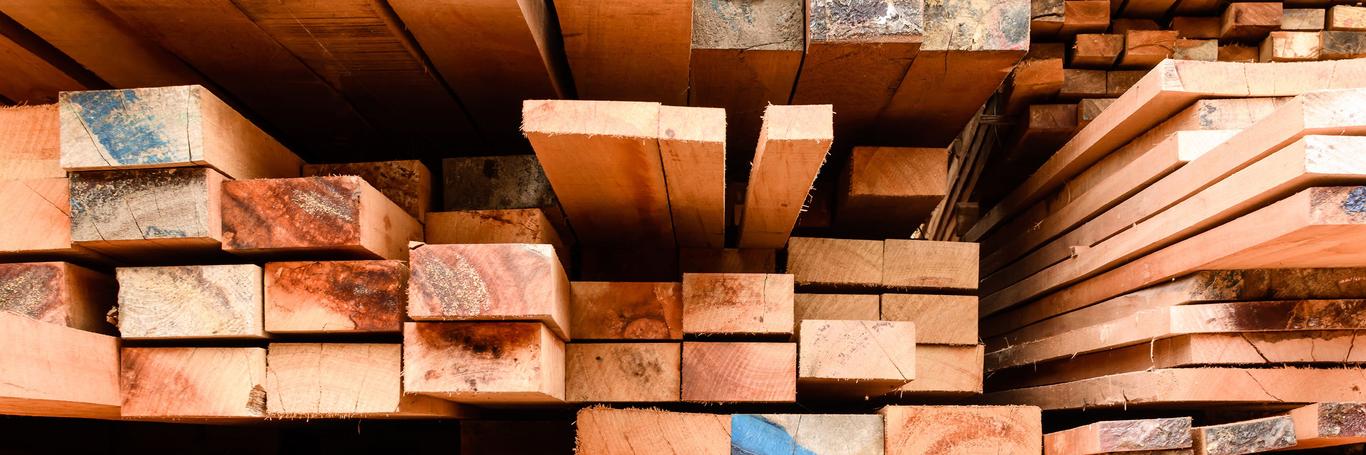 NEWLANDER OÜ on puidu ja ehitusmaterjalide vahendamise valdkonnas tegutsenud vaevalt poolteist aastat. 2017. aasta algas ettevõtte jaoks suhteliselt kesiselt, aasta teises pooles tehti 99% kogu käibest! Seda ilma