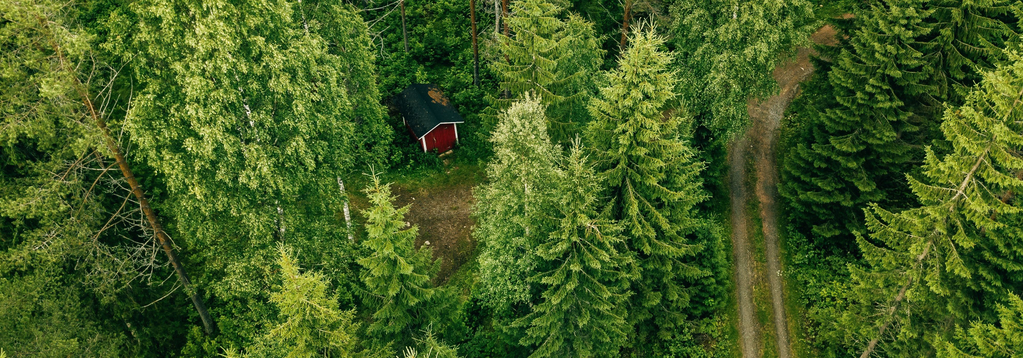 JÄRVA TEHNOPARK OÜ Tegevusalad