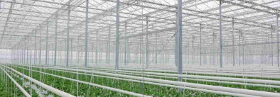 TOPGREEN OÜ Greenhouse systems