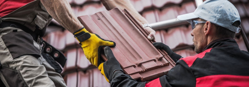 PLEKKELEMENT OÜ Roof maintenance