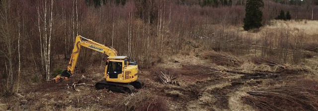 LAHE TEENUSED OÜ Võsalõikus giljotiiniga