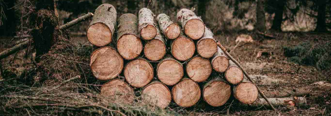 FOREST RESERVES OÜ Raieõiguse ost