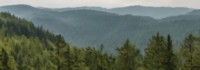 LOORE RMP OÜ Expert forest & financial management