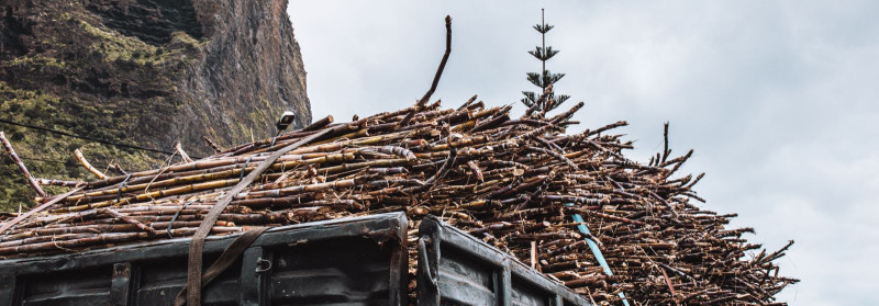 RAIKKÜLA METSAD OÜ Lisateenused