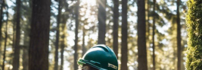 FORESTMAX OÜ Expert forestry services