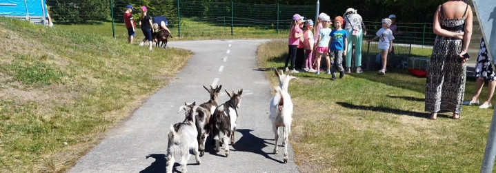 TALUÕU RATASTEL OÜ Liikuv taluelamus sündmustel