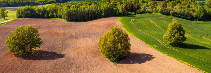 PÕLISMETSAD OÜ Maa ost