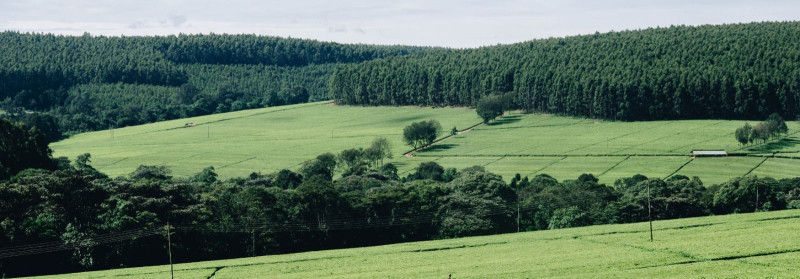 RAHO OÜ Purchase and use of farmland