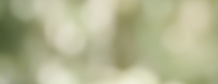 12863858_49332081_m_xl.jpeg
