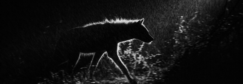 Põhjalikud SEO lahendused